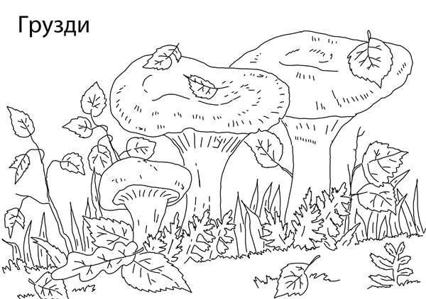 Гриб раскраска для малышей