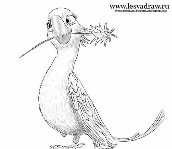 Раскраски из мультика Рио