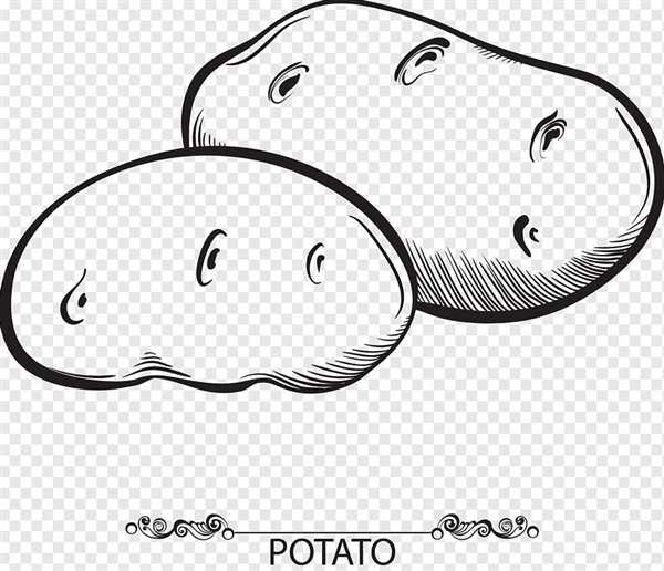 Картошка раскраска для детей