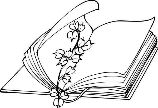 Книга жизни Катрина раскраска