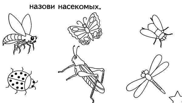 Раскраски насекомых веселые приключения для маленьких художников