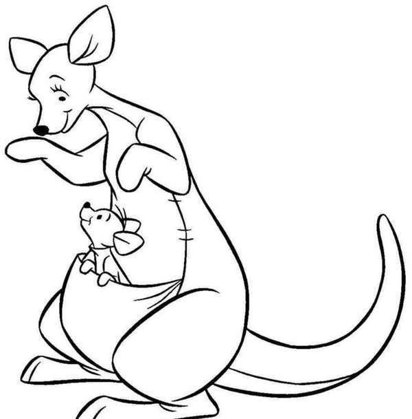 Кенгуру рисунок