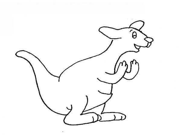 Kangaroo раскраска для детей