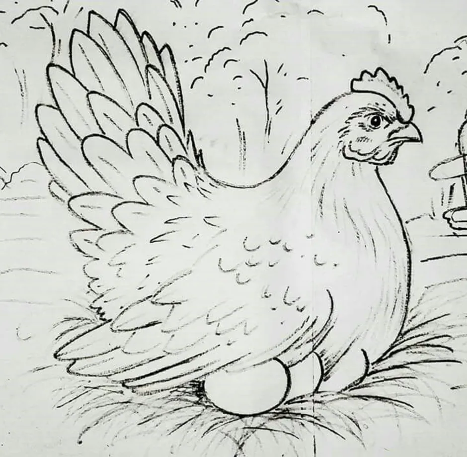 Курица раскраска для малышей