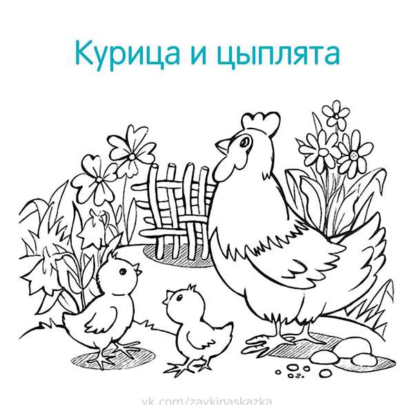 Курица раскраска