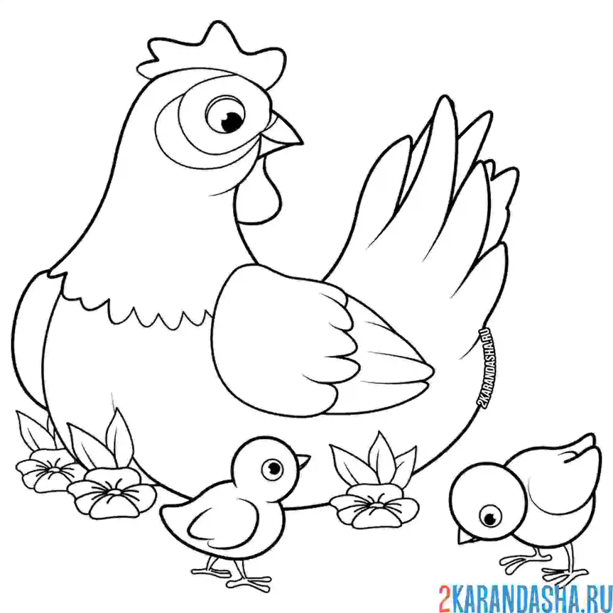{Курица раскраска}