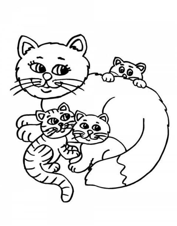 Котёнок рисунок раскраска