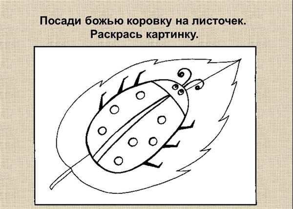 Божья коровка раскраска для детей