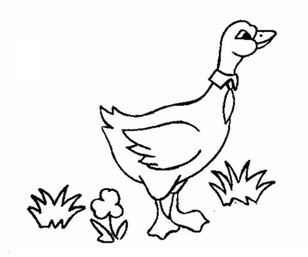 Гусь раскраска