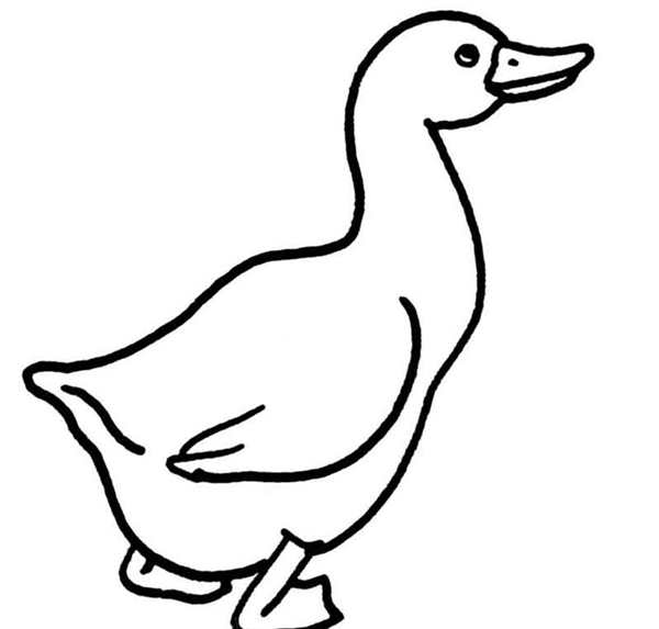 Гусь раскраска