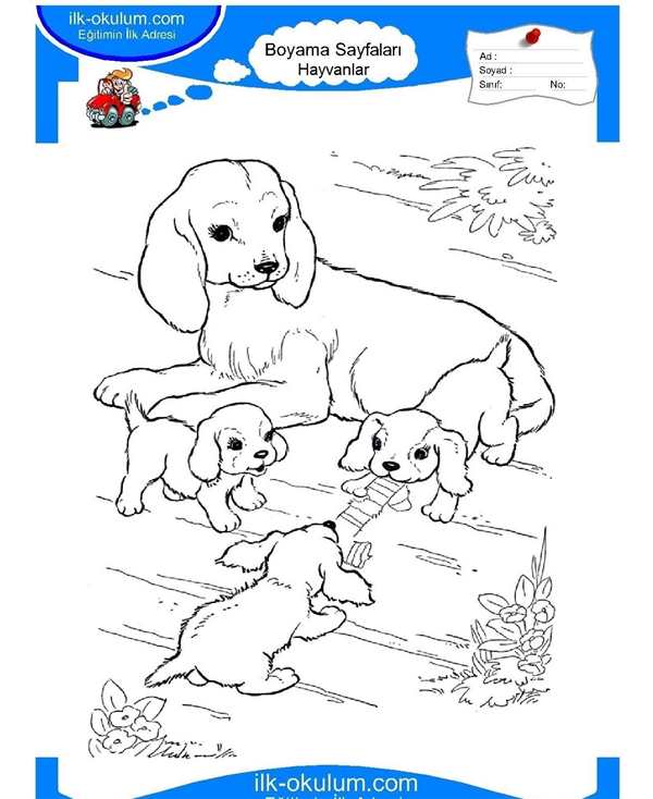 Раскраска собачка