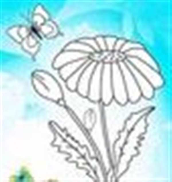 Ромашка по Точкам Прогулка с Раскраской