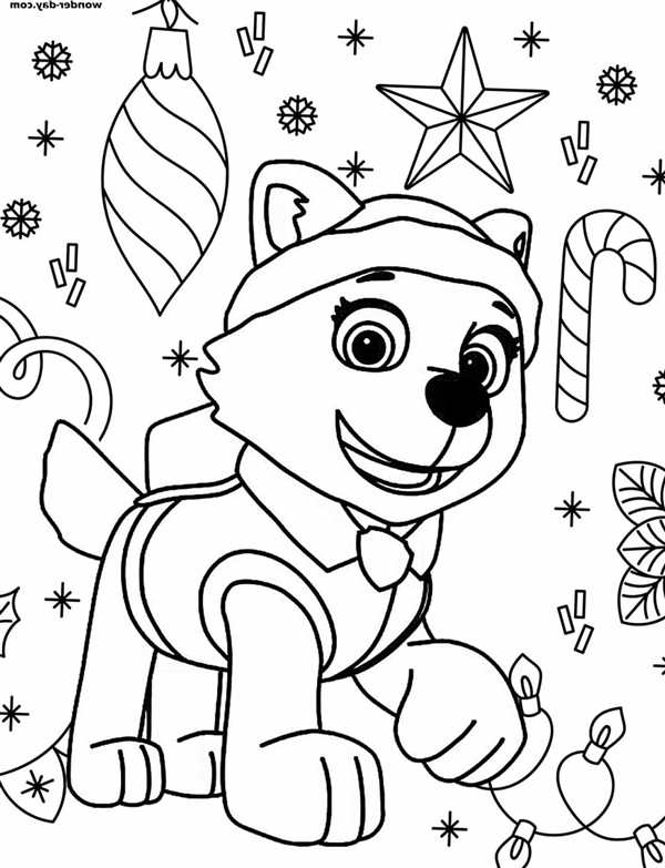 Paw Patrol раскраска