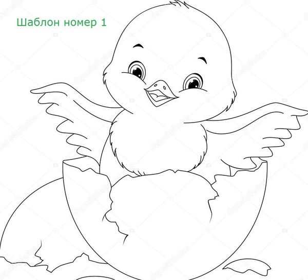 Цыпленок раскраска для детей