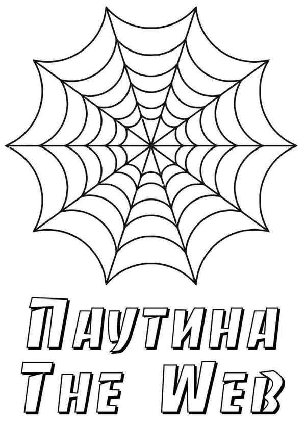 Раскраска паучок