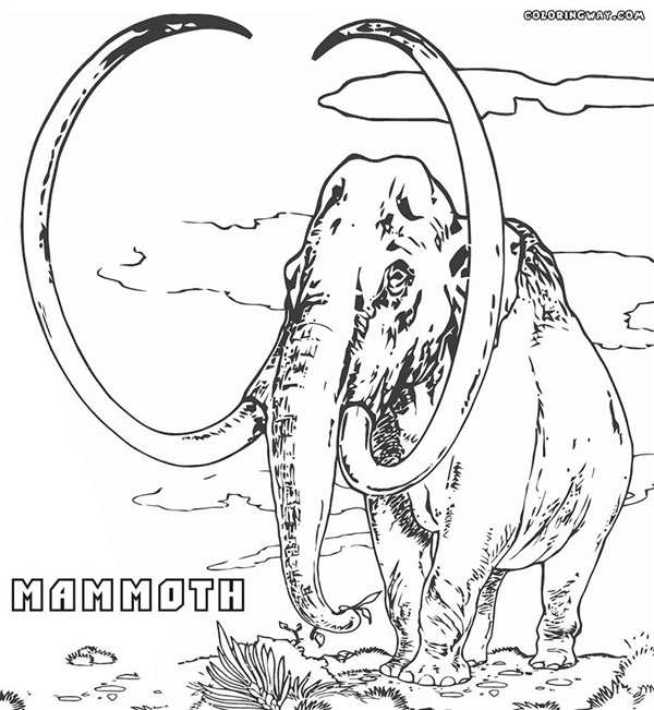 Мамонт раскраска