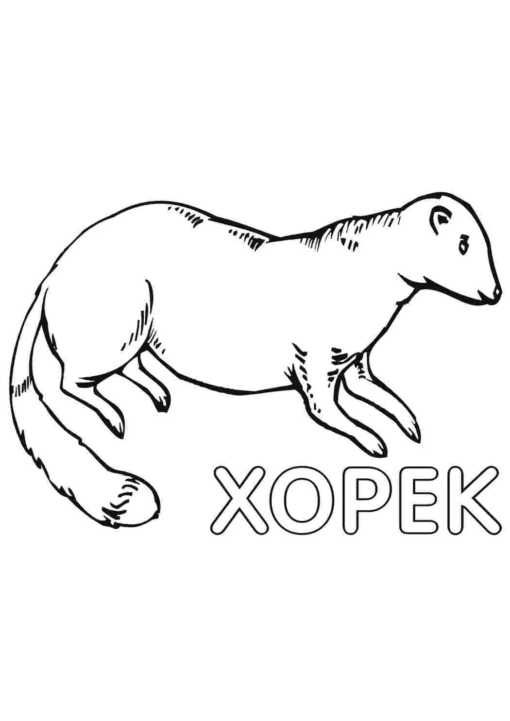 Хаэрек раскраска для детей