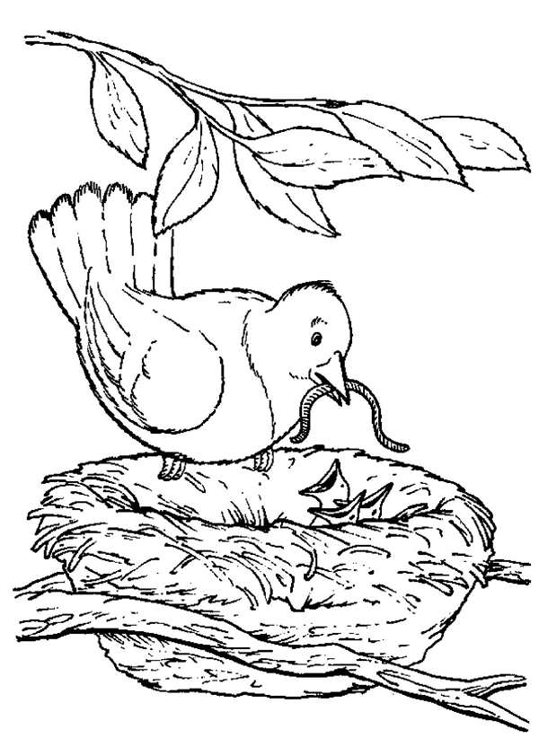 Гнездо раскраска