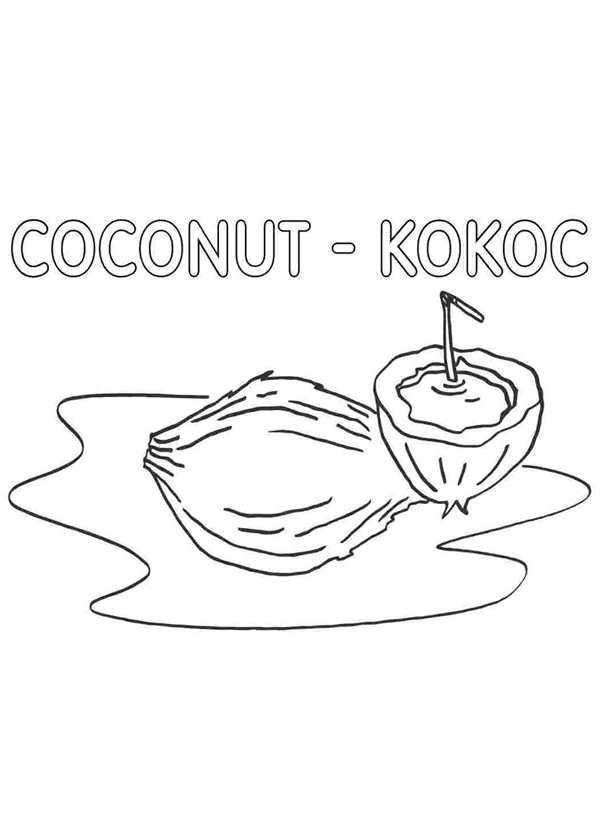 Кокос контур