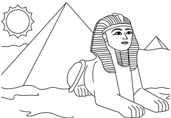 Корниш рекс