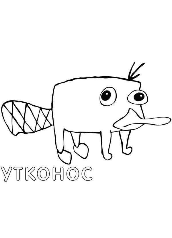 Утконос животное раскраска