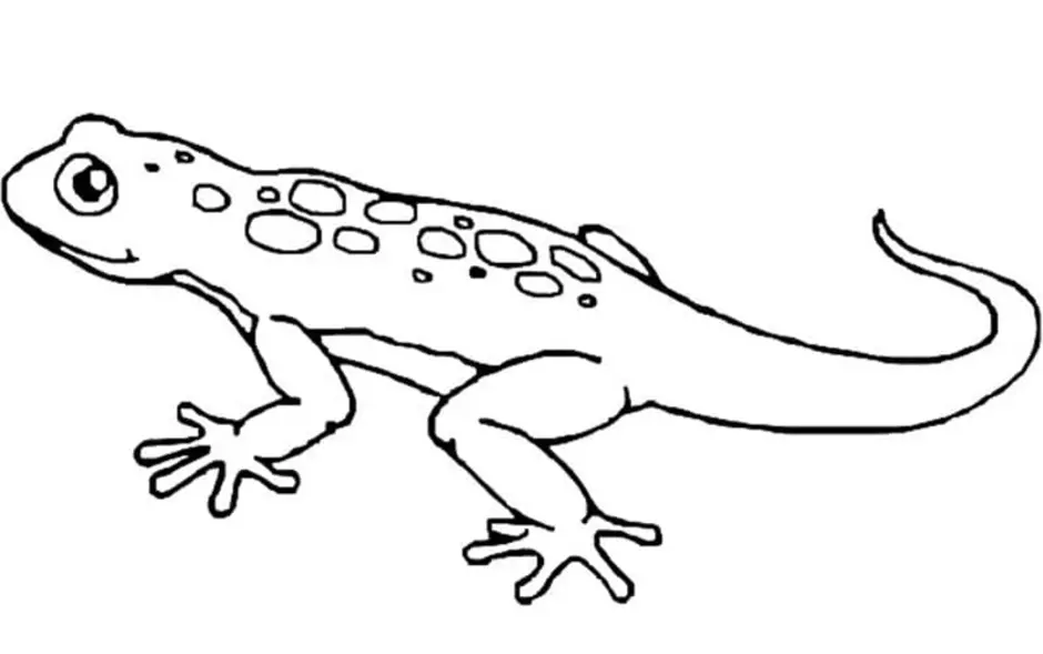 Ящерица рисунок