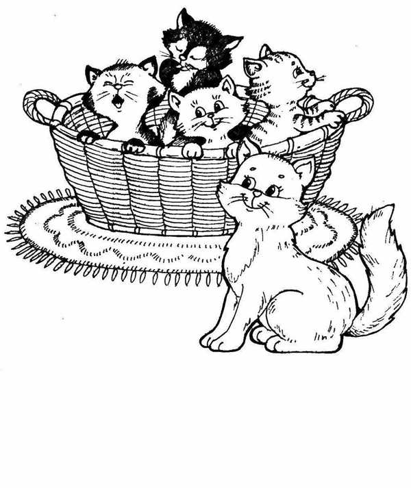 Котенок раскраска для детей