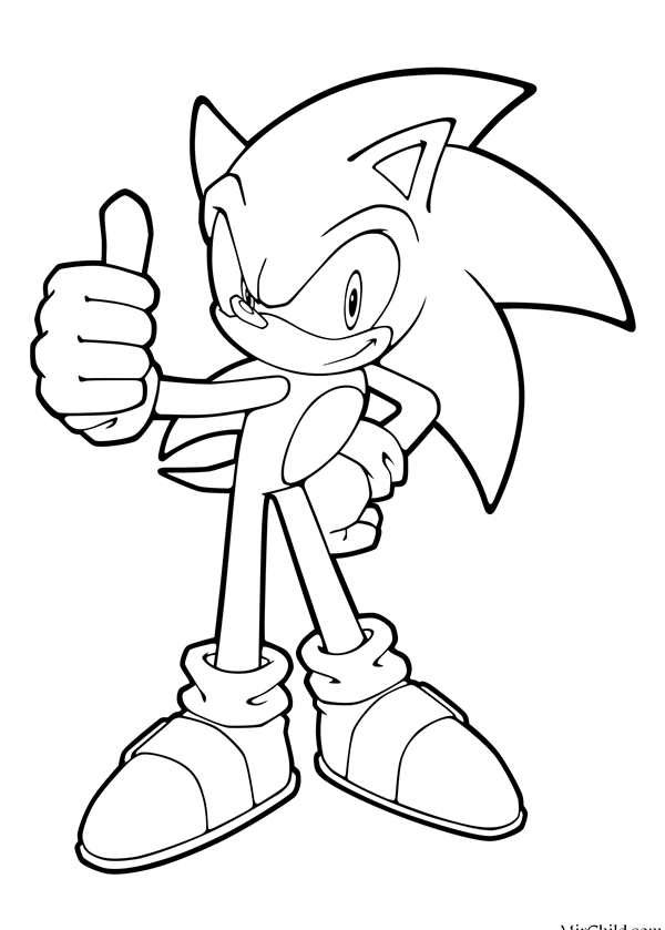 Сложная раскраска Sonic детали до мелочей