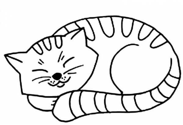 Кот спит раскраска