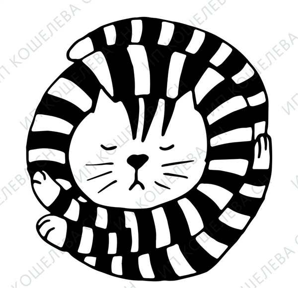 Раскраска. Котики