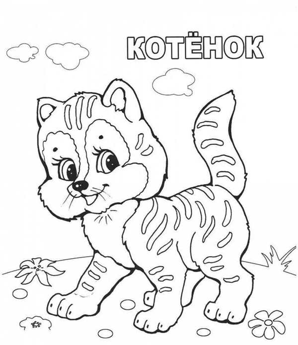 Дикие животные раскраска для детей