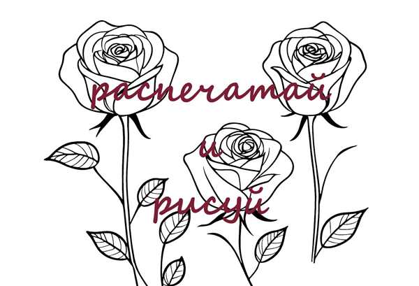 Роза раскраска