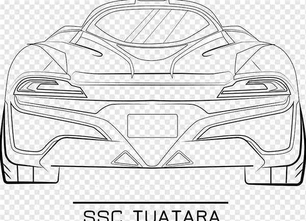 Туатара Забавная Раскраска для Детей