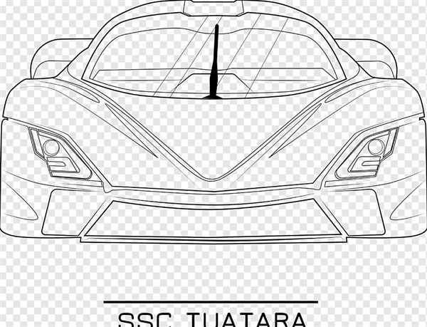 Туатара Забавная Раскраска для Детей