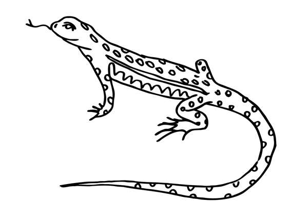 Ящерица раскраска