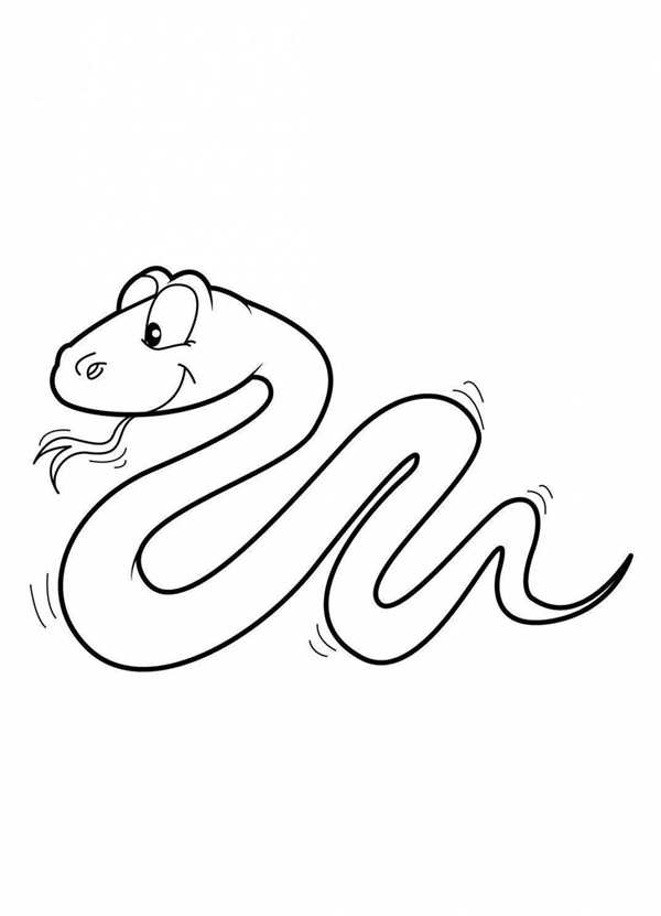Snake PNG