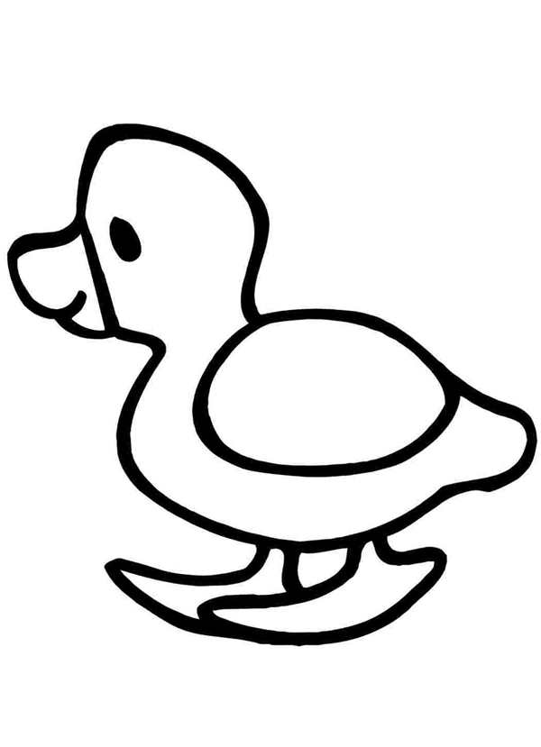 Утка раскраска для детей