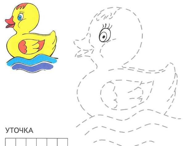 Раскраска утку