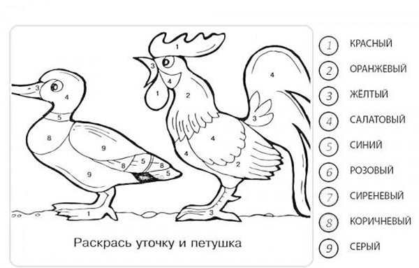 Рисование по цифрам птицы