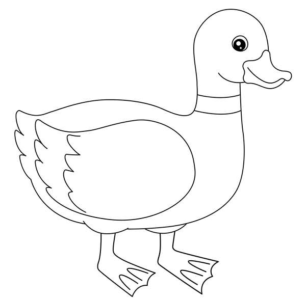 Утка раскраска