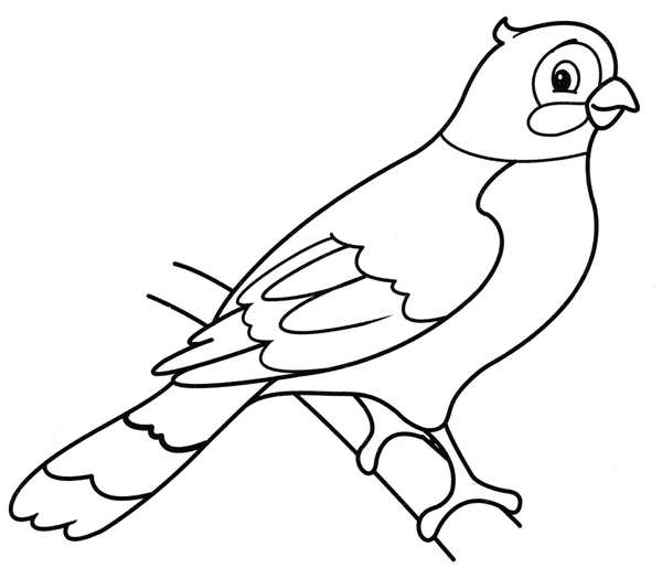 Птицы. Раскраска
