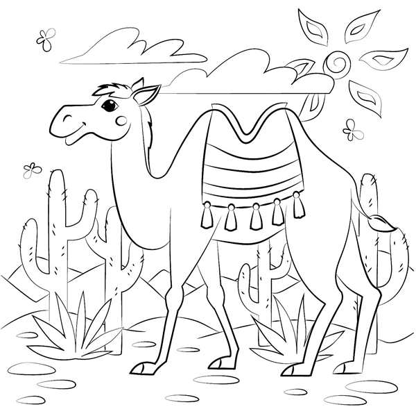 Верблюд рисунок