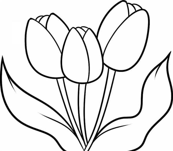 Первоцветы (подснежники, крокусы, гиацинты).