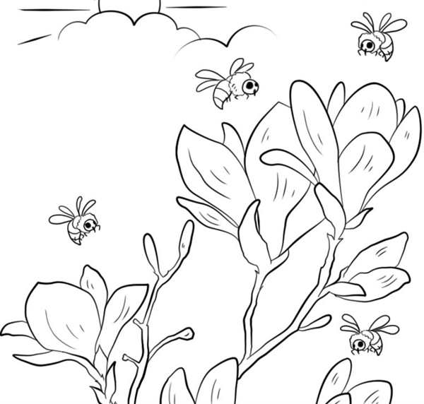 Цветы. Раскраска