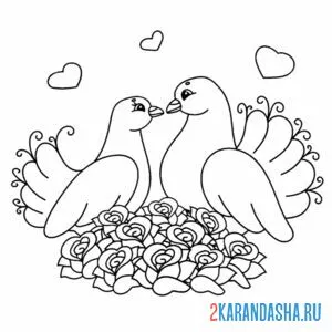 Птицы. Раскраска