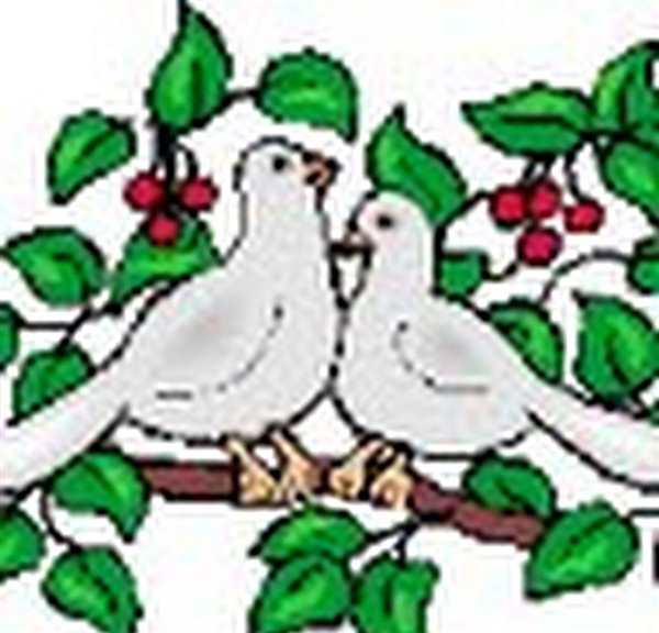 Влюбленные Голубки Забавная Раскраска для Души