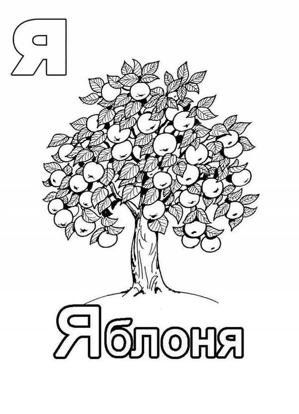 Яркая Раскраска Яблоня для Детей