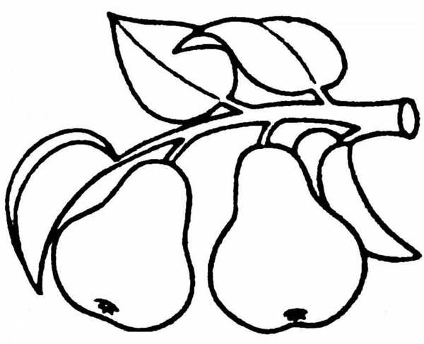 Фрукты. Раскраска