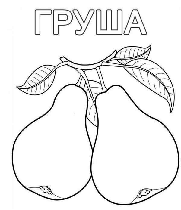 Фрукты для раскрашивания