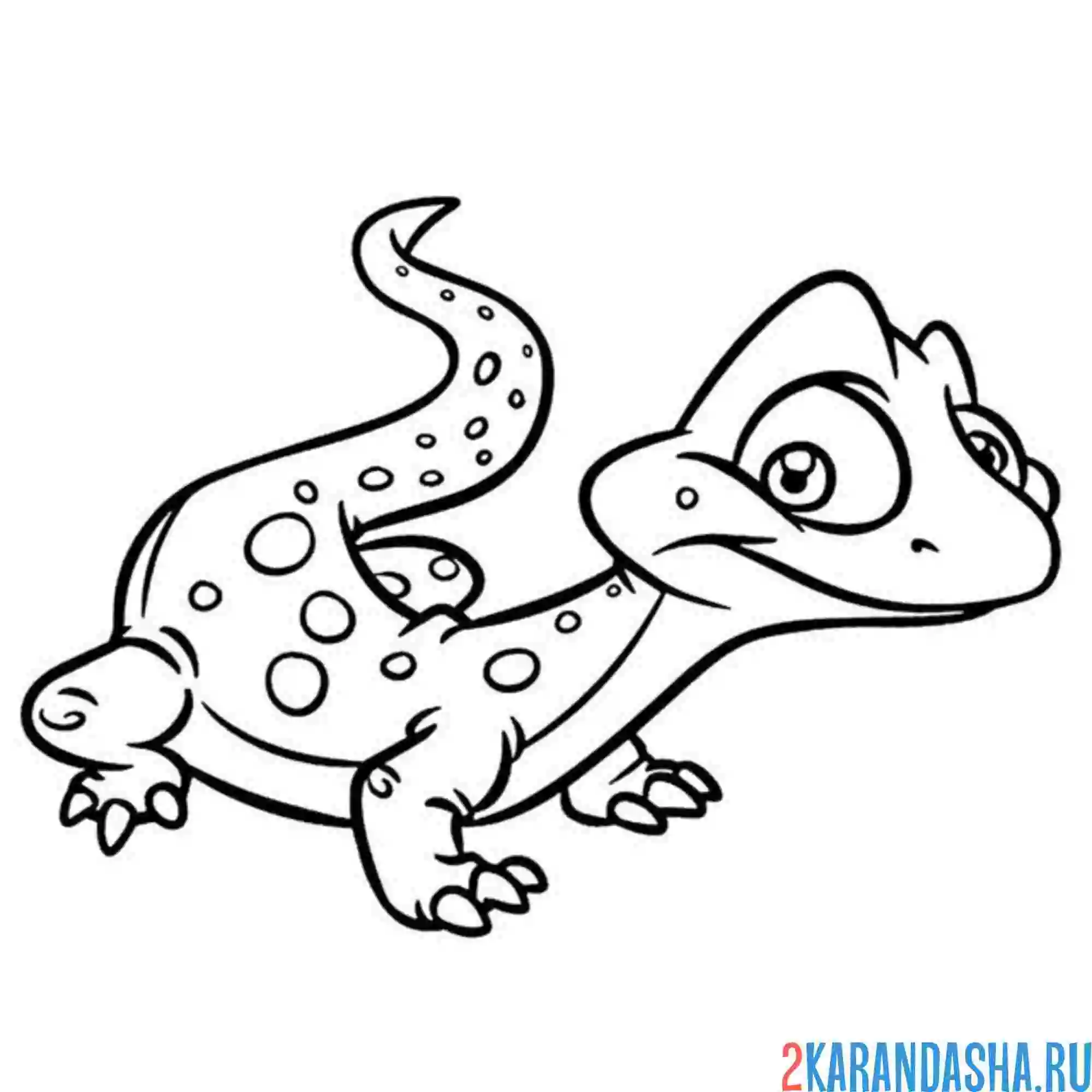 Ящерица рисунок